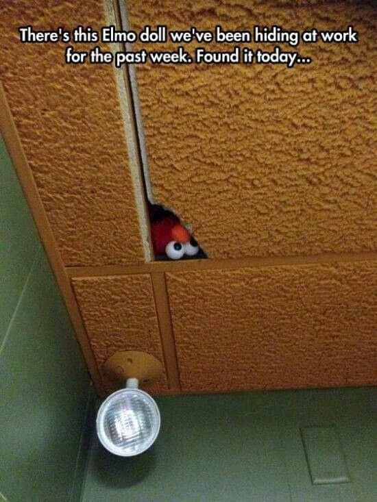Elmo doll peeking out from a gap in office ceiling tiles after coworkers hid it