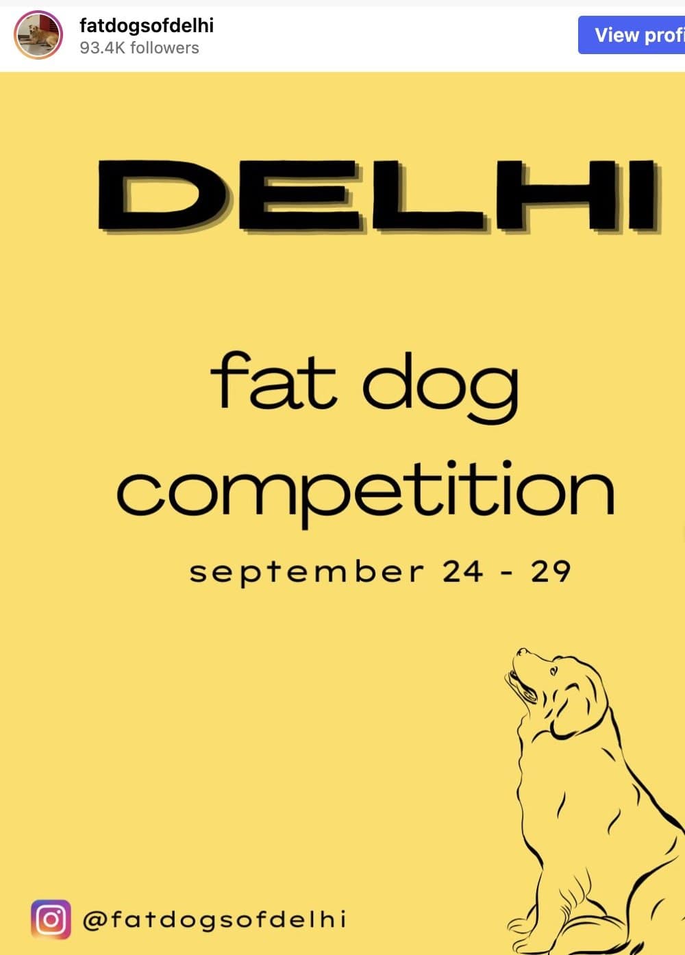Yellow Instagram poster announcing the fat dog competition that launched Fat Dogs of Delhi memes.