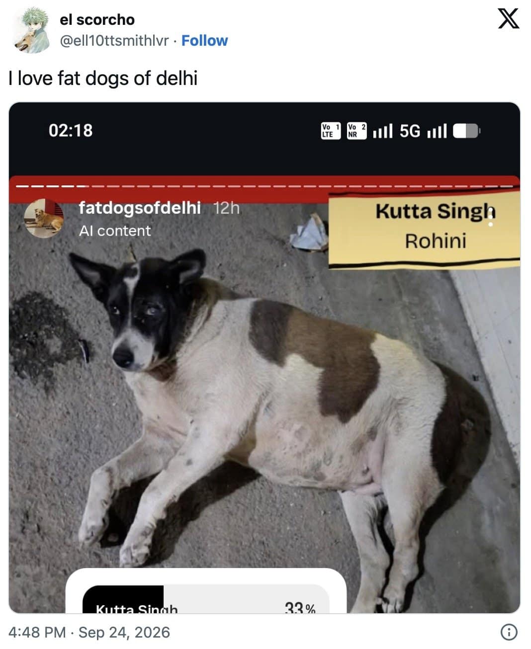 Fan tweet saying I love fat dogs of Delhi over Kutta Singh's Instagram poll card.