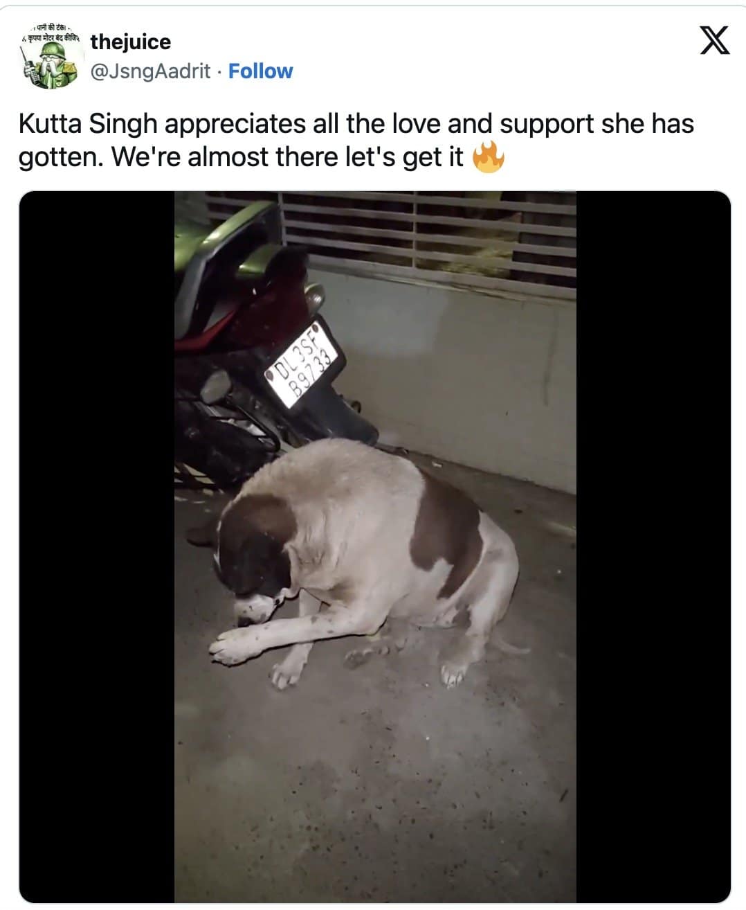 Big white and brown dog resting beside a motorbike in a thank-you post from supporters.