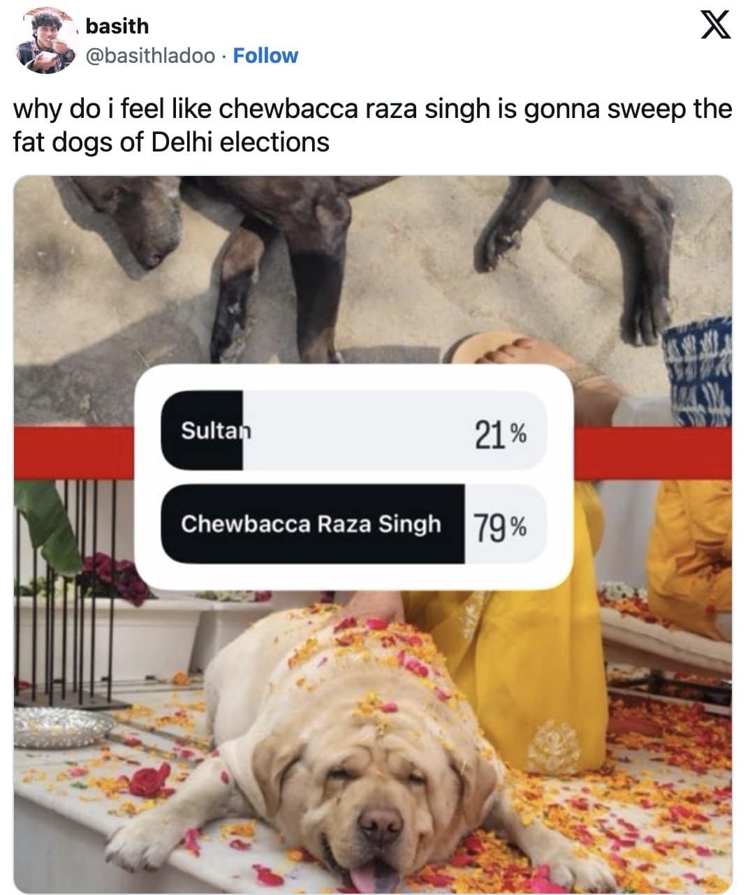 Chewbacca Raza Singh lounging in flower petals while leading Sultan 79 percent in the poll.