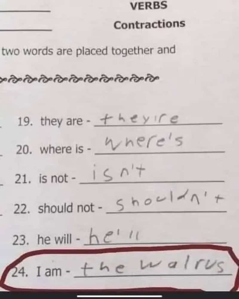 Contractions worksheet where I am is answered with the walrus.