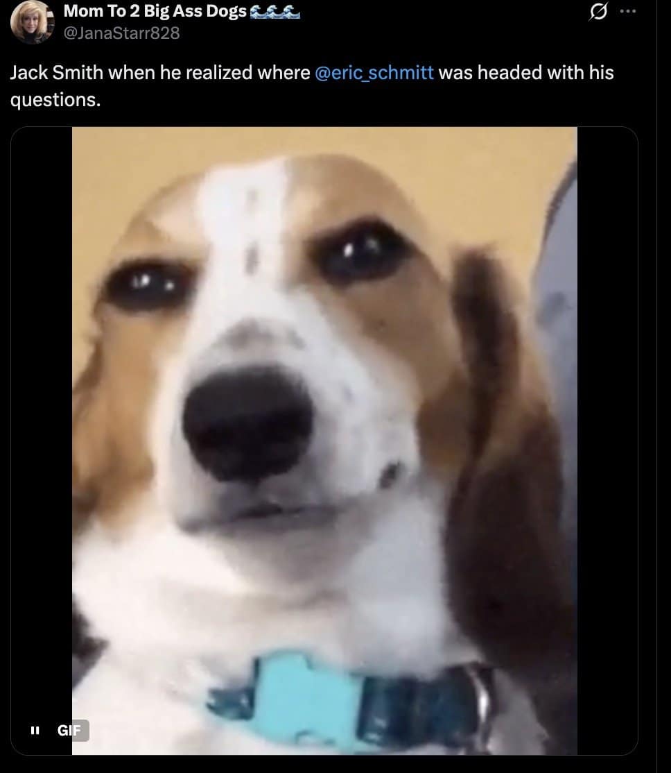 Beagle giving a suspicious side-eye, captioned as Jack Smith sensing where the questions were headed.