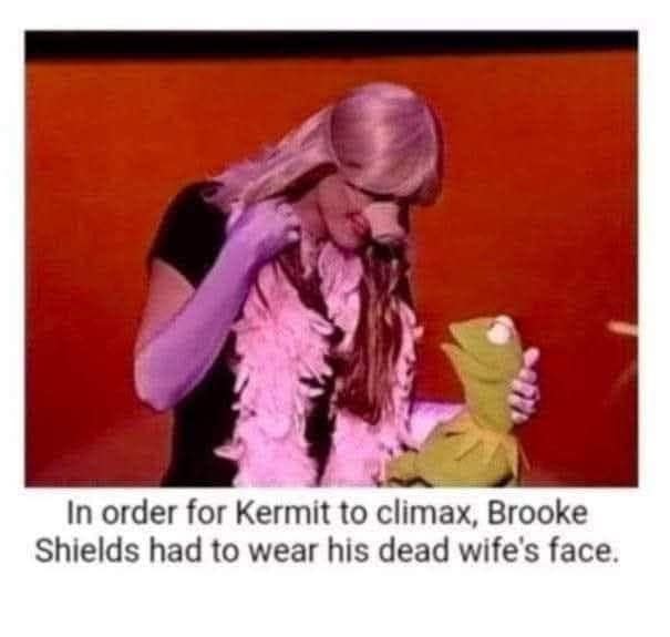 Brooke Shields in a pink boa hugging Kermit the Frog with a crude joke caption.