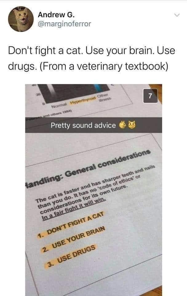 Veterinary textbook page advising don't fight a cat, use your brain, use drugs.