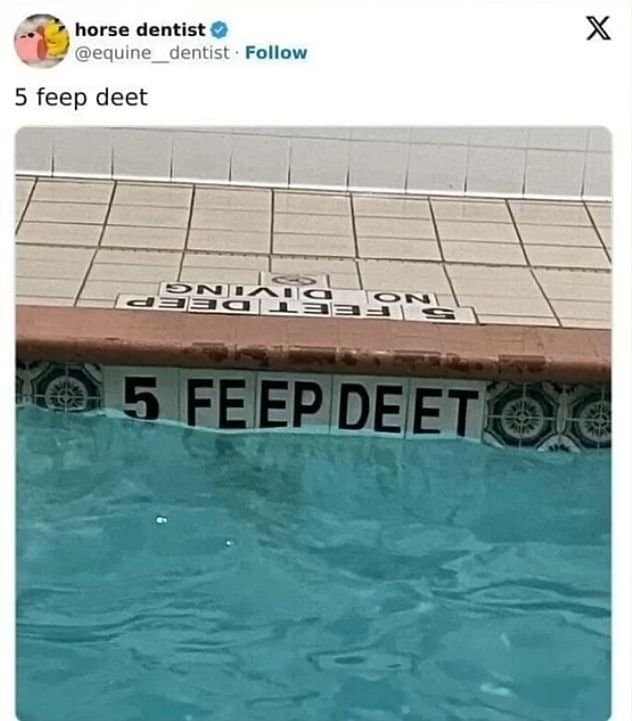 Pool edge tiles rearranged into 5 FEEP DEET, spelling fails beside a no diving warning.