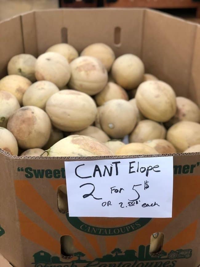 Box of cantaloupes labeled Cant Elope, two for $5, among the gentlest spelling fails.